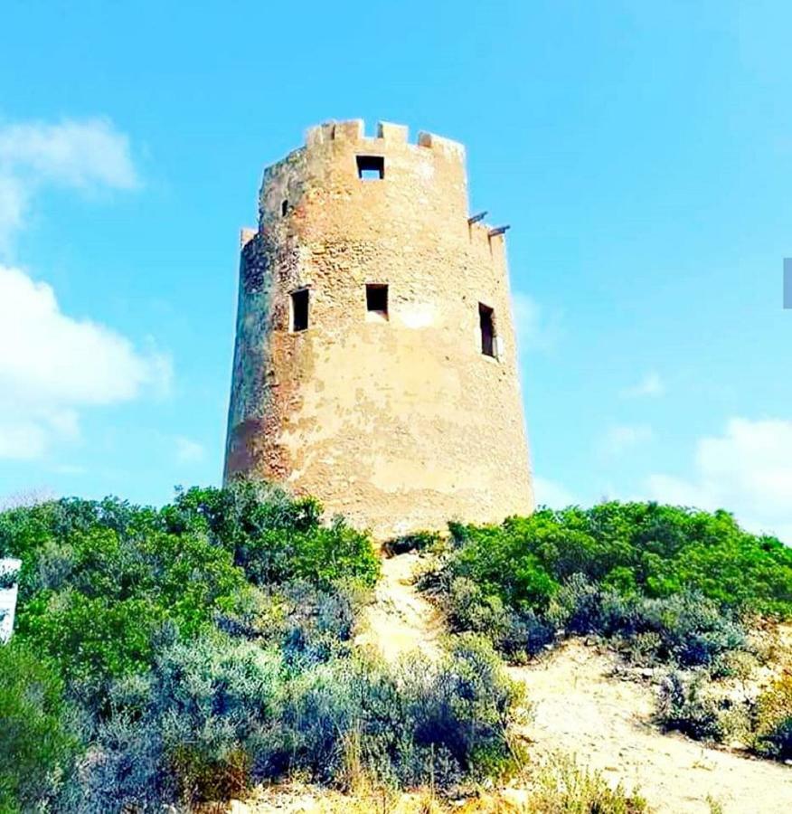 Donna Violante Porto Corallo